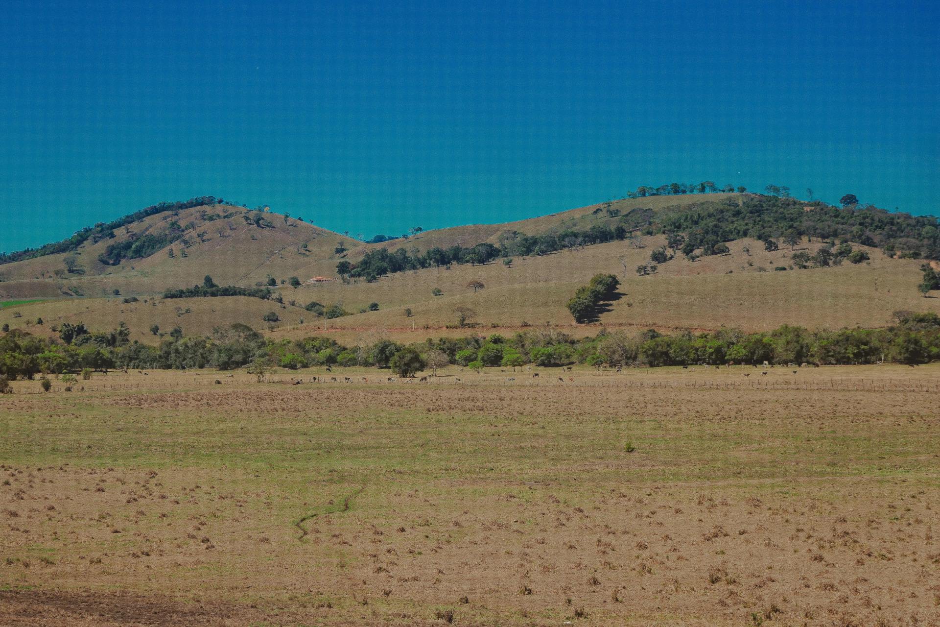 Дев'ята стаття